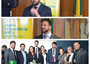 Frente Parlamentar Mista em Defesa do Serviço Público é lançada na Câmara dos Deputados