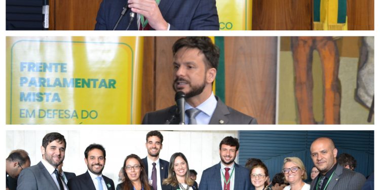 Frente Parlamentar Mista em Defesa do Serviço Público é lançada na Câmara dos Deputados