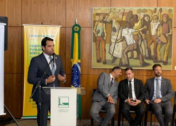 ANAFE participa de lançamento da Frente Parlamentar Mista em Defesa do Serviço Público