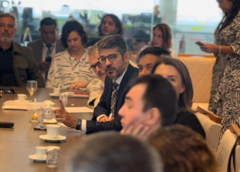 Reforma Administrativa: Servir Brasil e entidades representativas alinham estratégias de atuação junto ao GT
